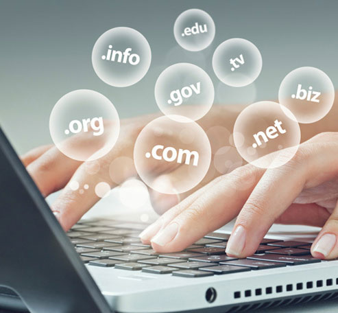 Domain Registration & Hosting